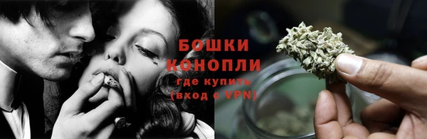 прущие крисы Богданович