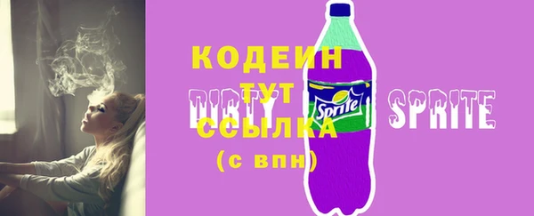 прущие грибы Инта
