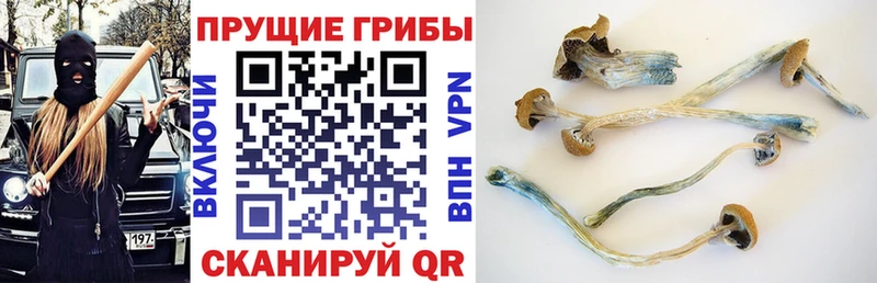 Галлюциногенные грибы Magic Shrooms  Горнозаводск 
